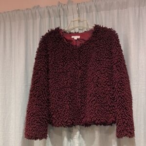 Plush Burgundy Teddy Jacket